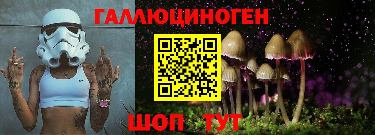 Псилоцибиновые грибы мухоморы  Вход с VPN  Котовск 
