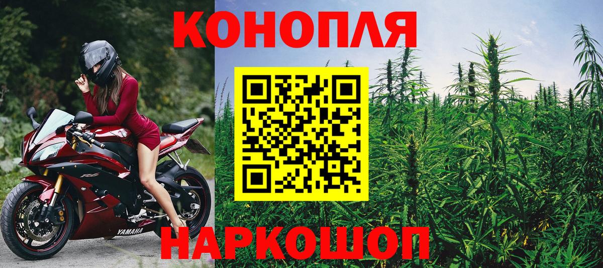 Бошки Шишки SATIVA & INDICA  Марихуана VHQ  Бошки Шишки тримм  Вход с VPN  Котовск 